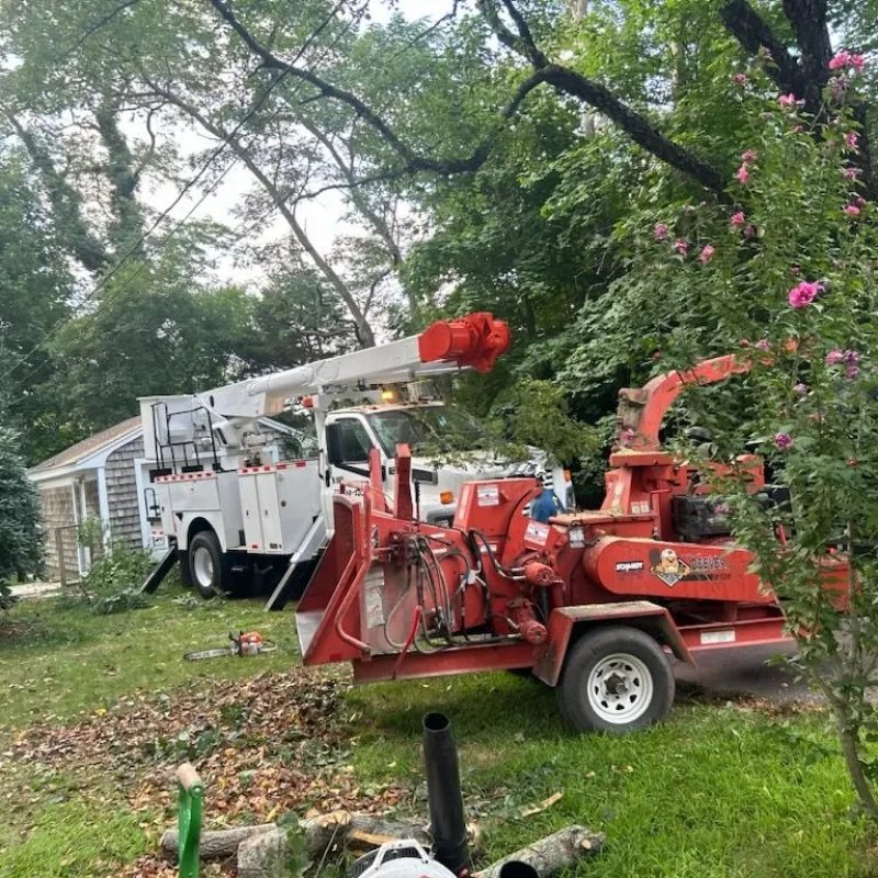 emergency storm services 1