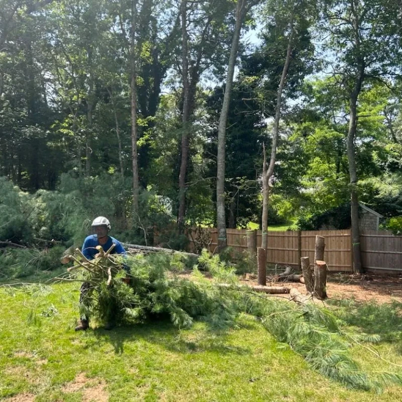 emergency storm services