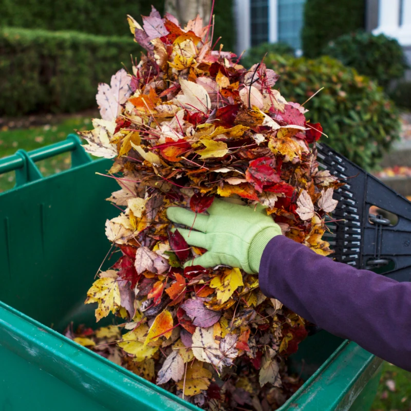 seasonal yard cleanups services 1